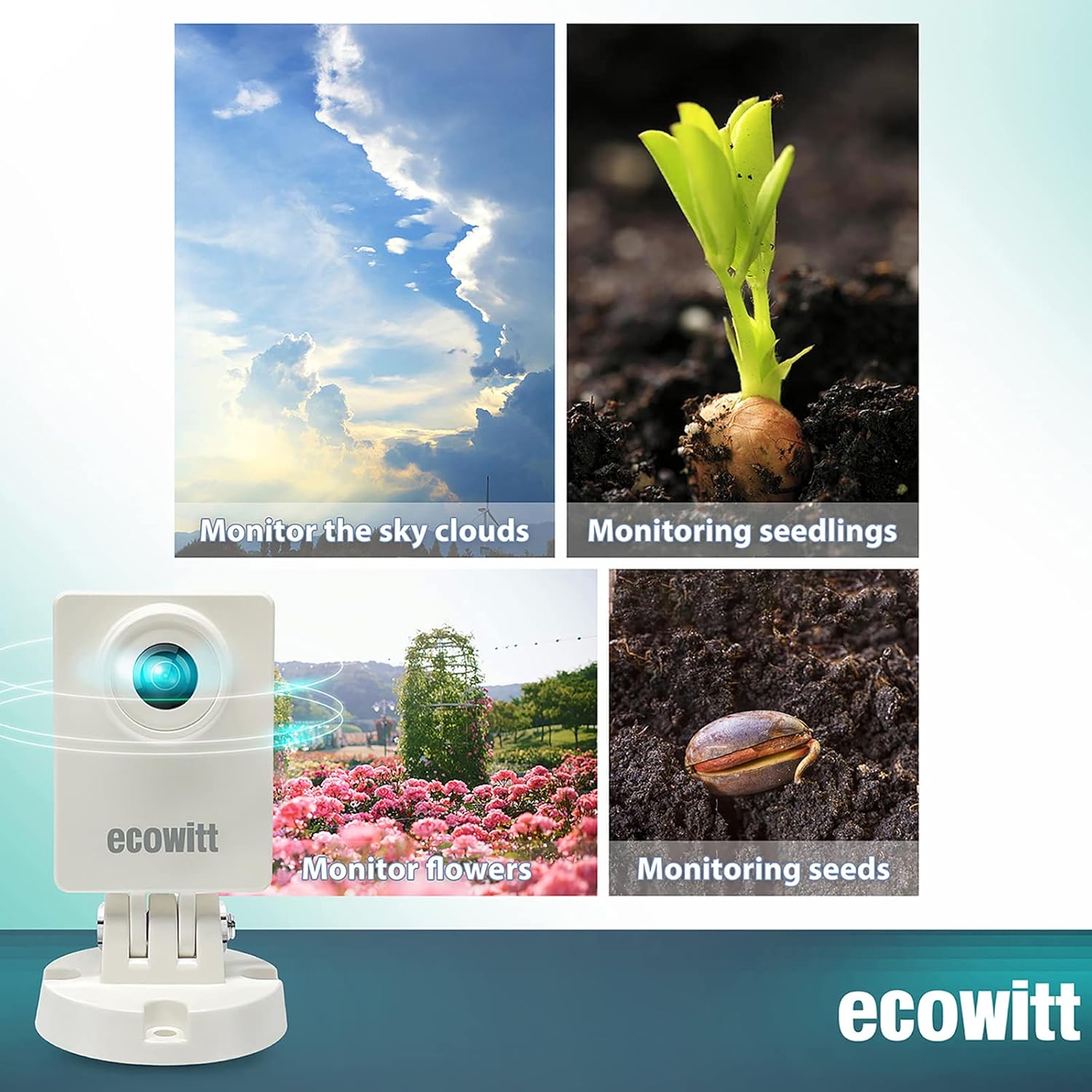 ECOWITT WittCam HP10 monitoring plant growth over time