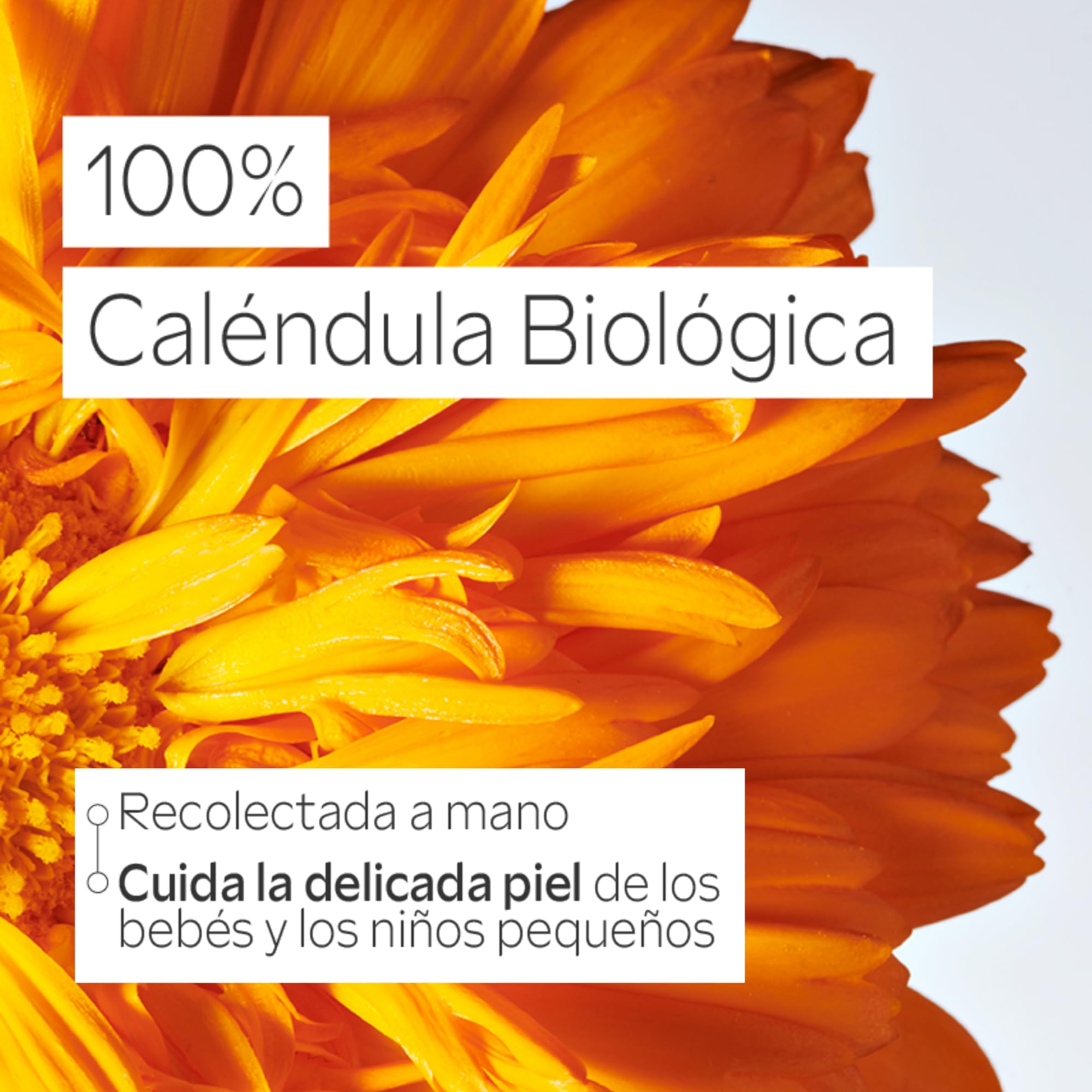 Weleda - Crema Facial de Caléndula para Bebé, Cuida, Calma, Protege y Aporta Hidratación, Apto para Pieles Sensibles y Secas - 50 ml — view 9