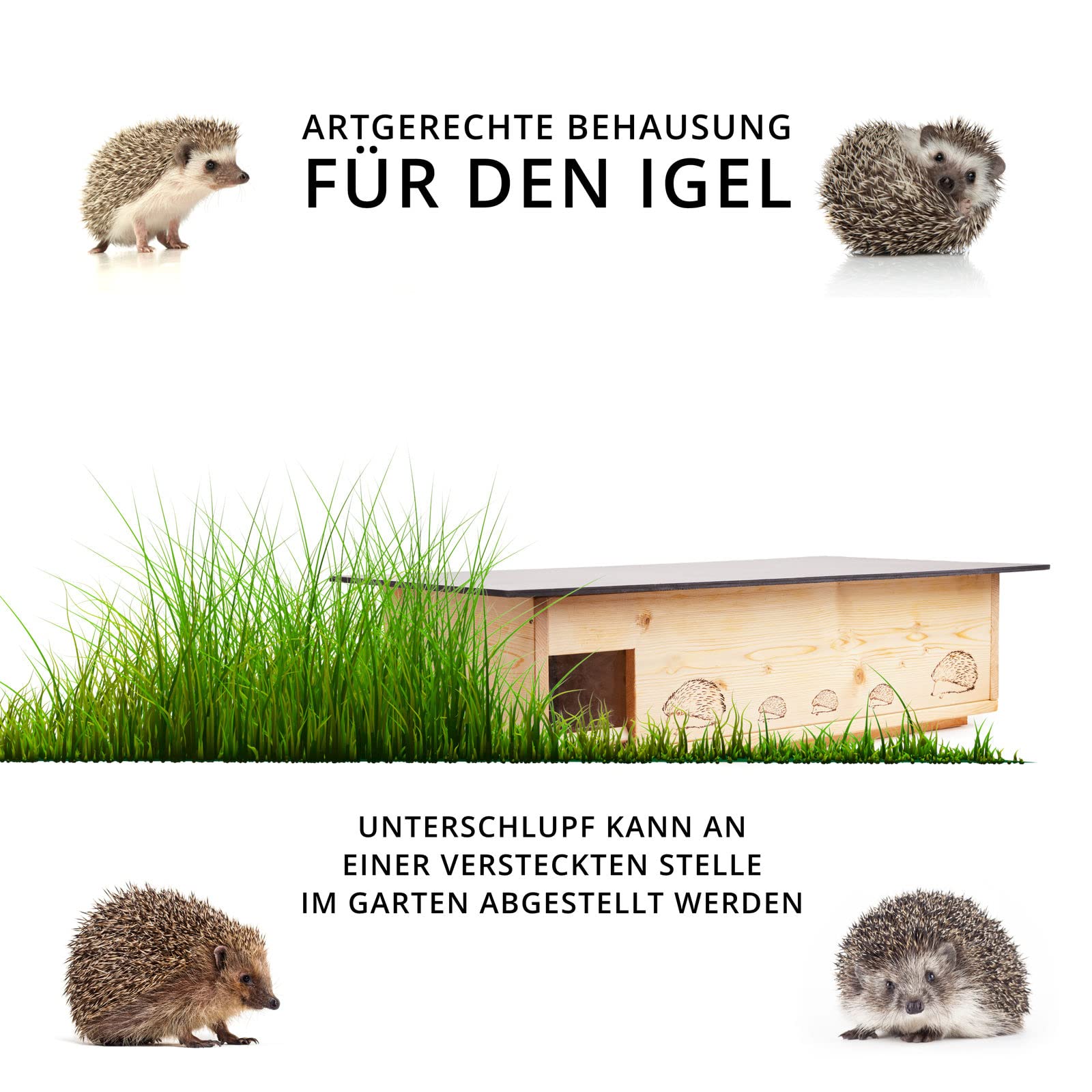 Igelhaus Neu 2 mal Lasiert (IG5) Igelhütte mit Labyrintheingang und Rattenklappe