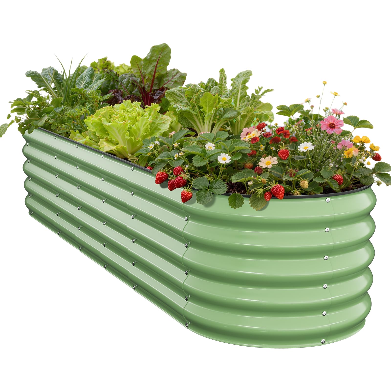 Pattiumo 8x2x1.5ft Oval Metal Raised Garden Bed