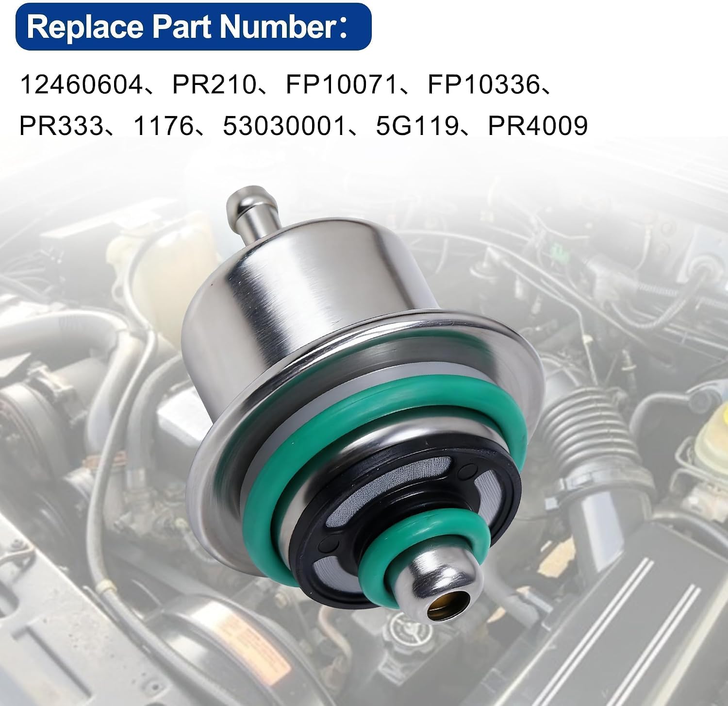 Fuel Injection Pressure Regulator with Ring Fit for B150 B250 B350 D150 D250 D350 Dakota Ramcharger W150 W250 W350 Cherokee Comanche Grand Cherokee Grand Wagoneer Wrangler Replace 12460604 PR210