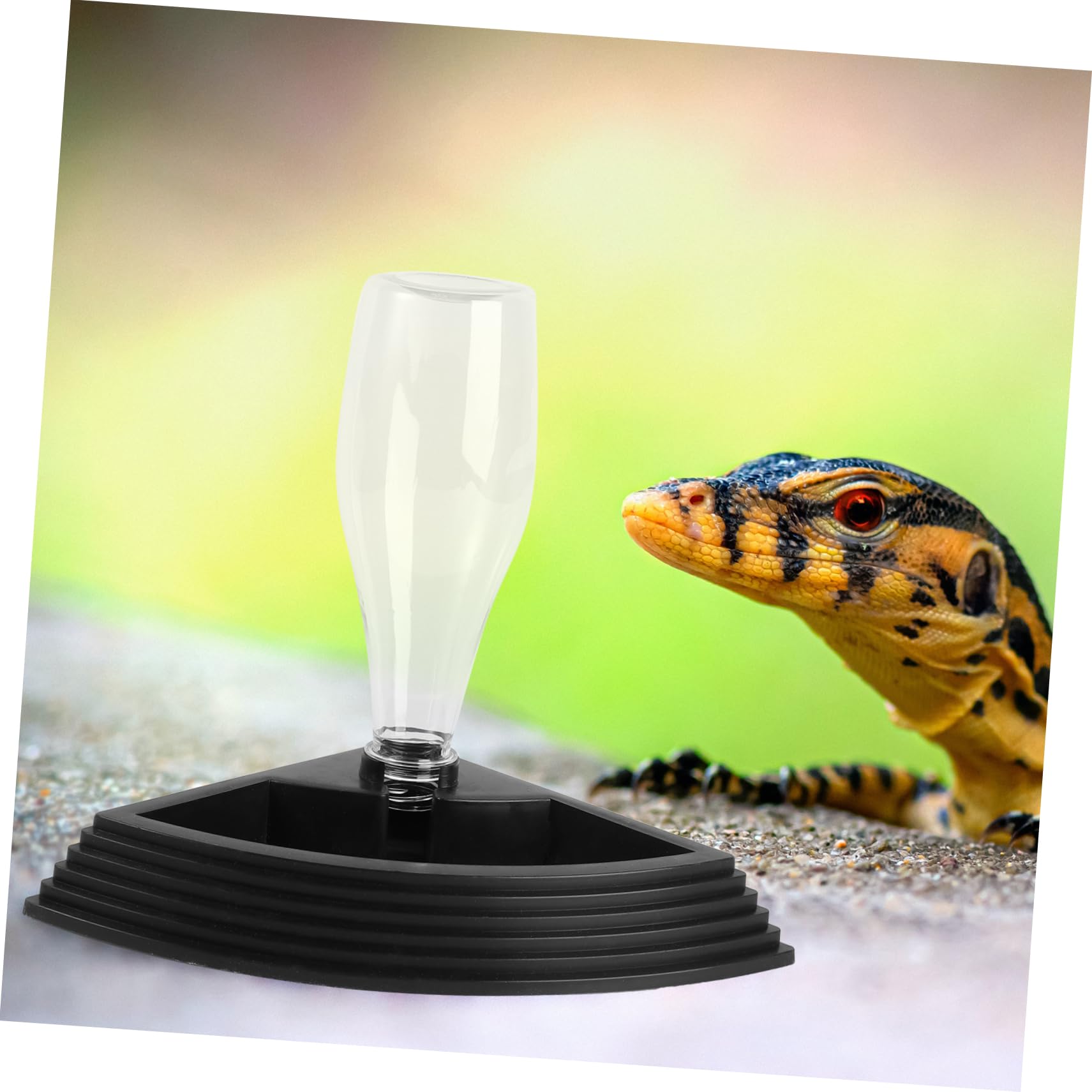 Ipetboom 3pezzi Fontana per Automatica per Rettili Distributore per Tartarughe e Lucertole Erogatore con Design Antiscivolo e Facile Manutenzione Accessorio per Terrario capacità Elevata