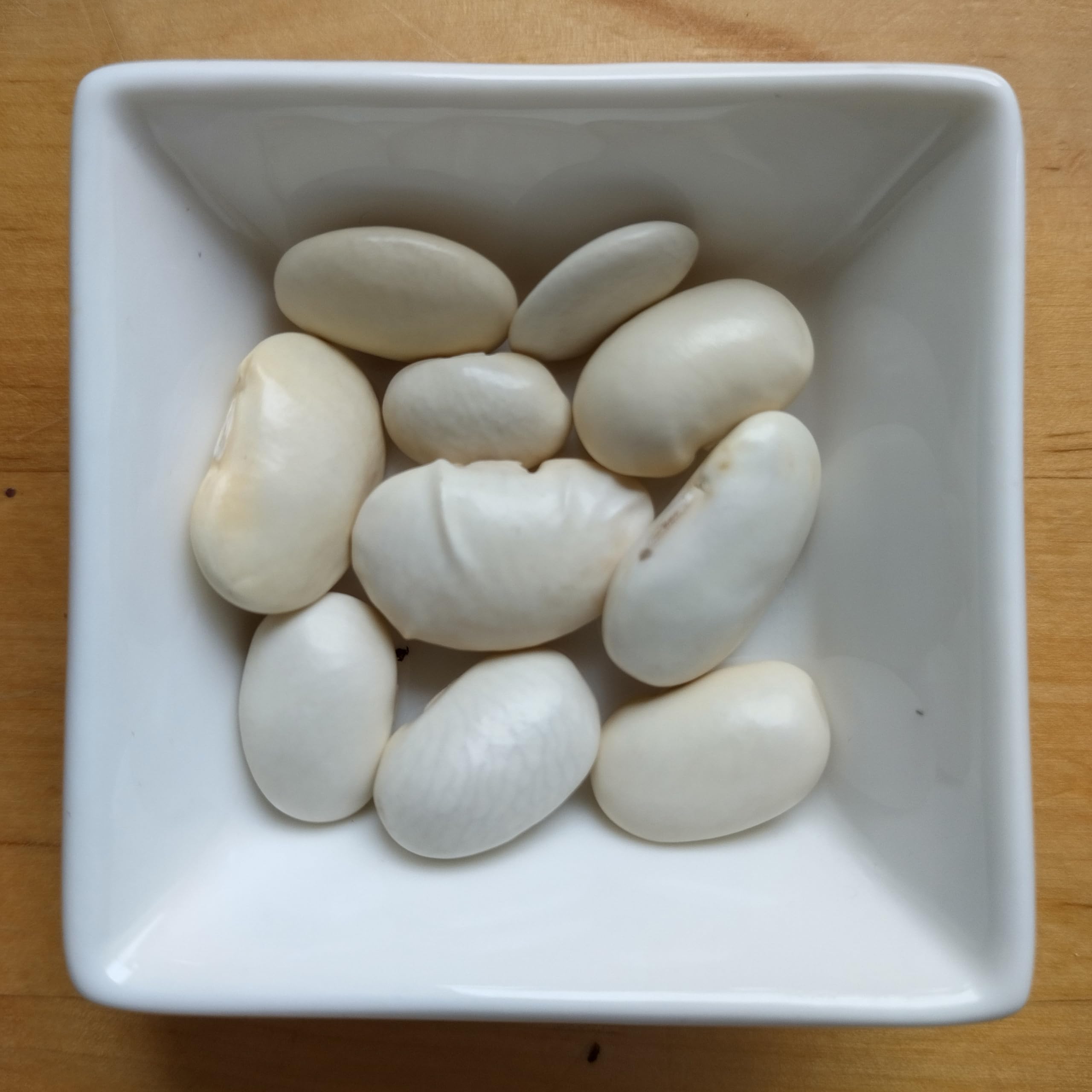 Grecka fasola olbrzymia "Gigantes" (Phaseolus coccineus) ok. 20 nasion