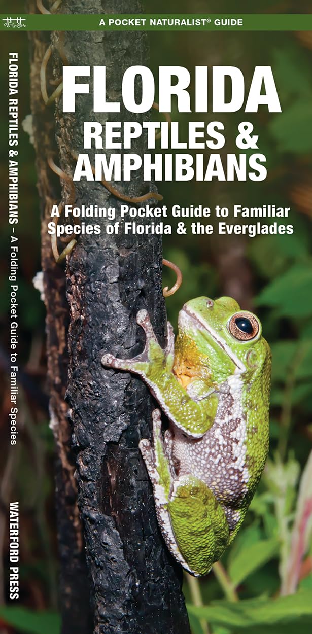 Florida Reptiles & Amphibians: A Folding Pocket Guide to Familiar Species of Florida & the Everglades (A Pocket Naturalist Guide) (Nature Observation North America)
