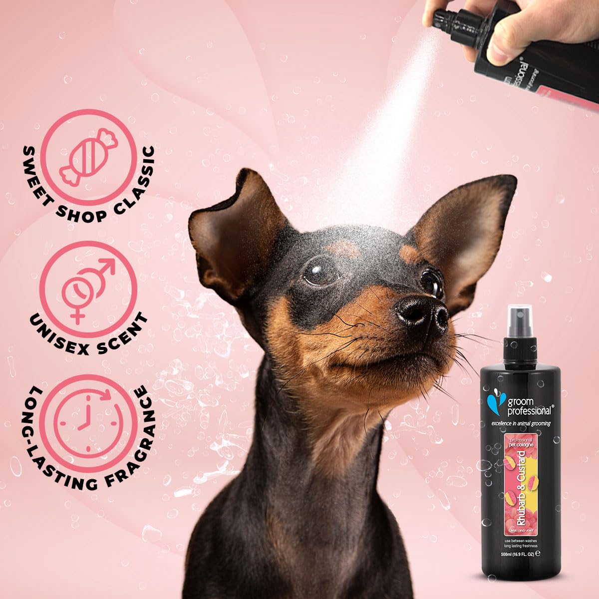 GROOM PROFESSIONAL Rhubarb & Custard Hundeparfüm - Hundeparfüm-Spray - Frisches Duftspray für Hunde Gegen Geruch - Erinnert an ein Klassisches Bonbon - Langanhaltender Duft, 500ml