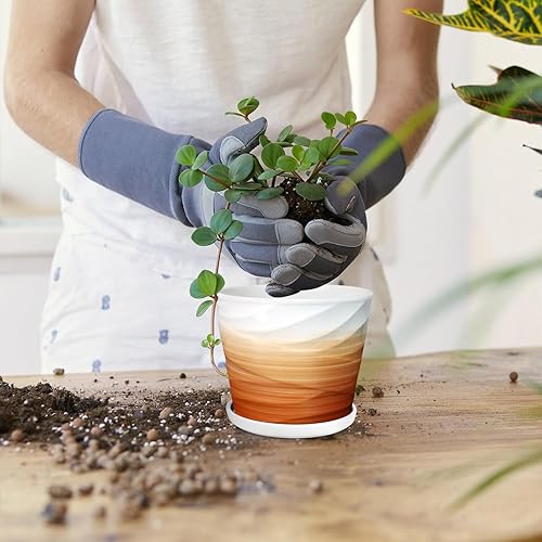 Vista 3 de Maceta de cerámica de 5 pulgadas, maceta de cerámica con drenaje y platillo, macetas de cerámica para plantas, macetas de interior, macetas