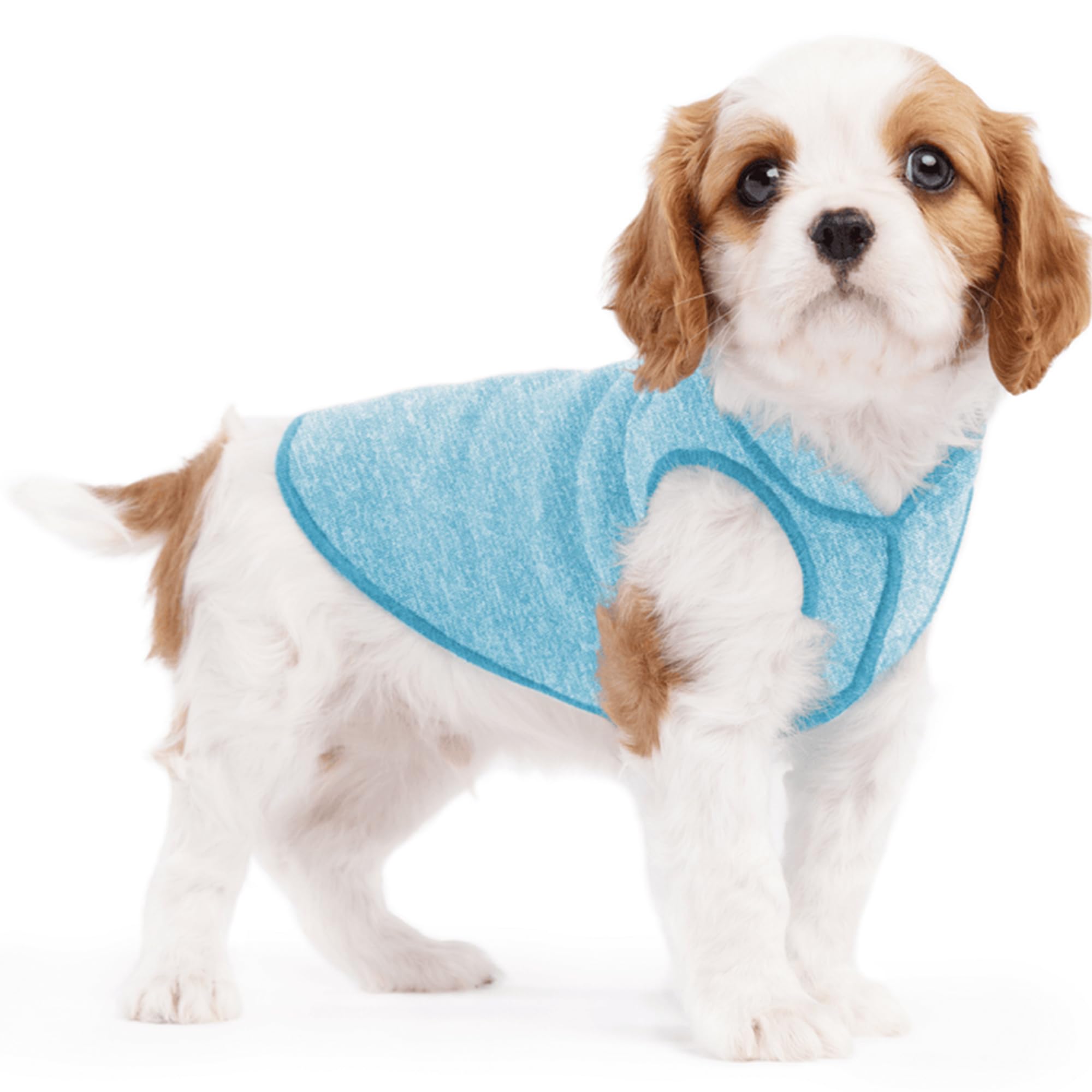 Dog Tee Doré Paw Pare-Soleil t4 bleu océan chiné pour chien