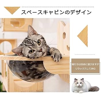 kare wall deco 猫　タイムセール mirrordenyan-04.jpg