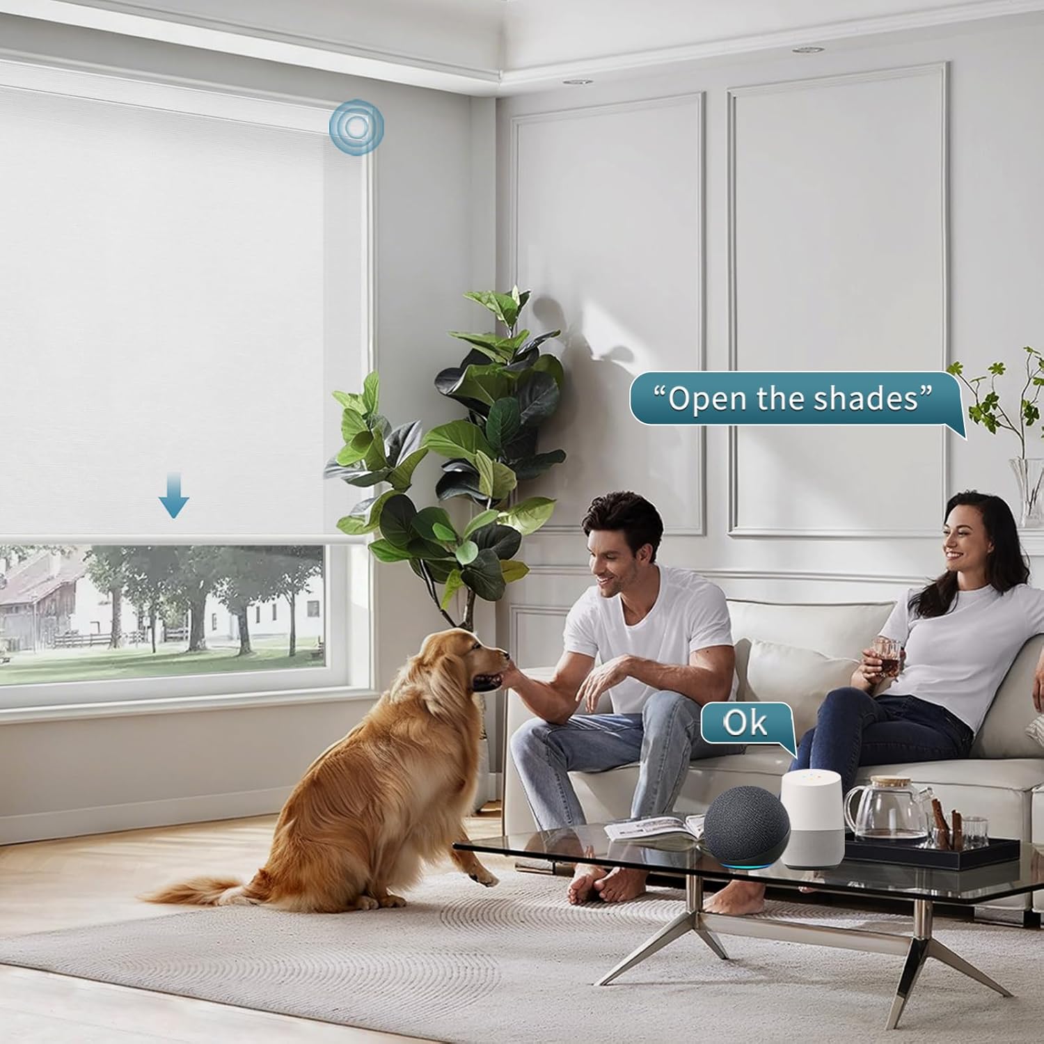 Motorized Shades Work with HomeKit Over Thread,70% Blackout Light Filtering Blinds for Window, Smart Shades with Remote, APP/Voice Control,Custom up110''Wx148''H,Classic White