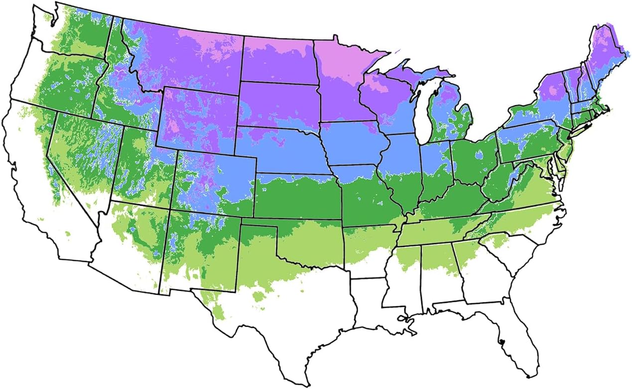Honey Crisp Live Apple Tree, Red-Yellow Color, Sweet Tart Flavor, 1 gal Nursery Pot 2-3 ft. Tree Height (Due to Agricultural Laws, we Cannot Ship to CA, AZ, AK, or HI)