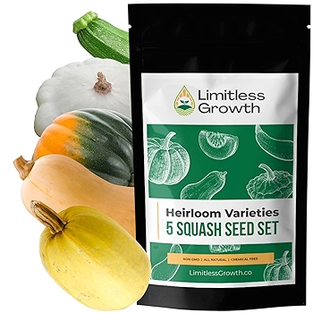 五种经典南瓜种子组合 - 意大利南瓜、巴特南南瓜、小女王橡果南瓜、 zucchini、白色扇贝南瓜 - 适合加拿大花园的南瓜种子