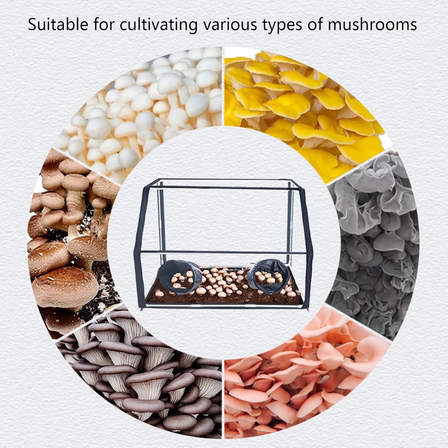 Home Seedlings Growth Observation Box with Transparents for Easy Mushroom in Various Settings Growing Tent Still Air Mushroom Box