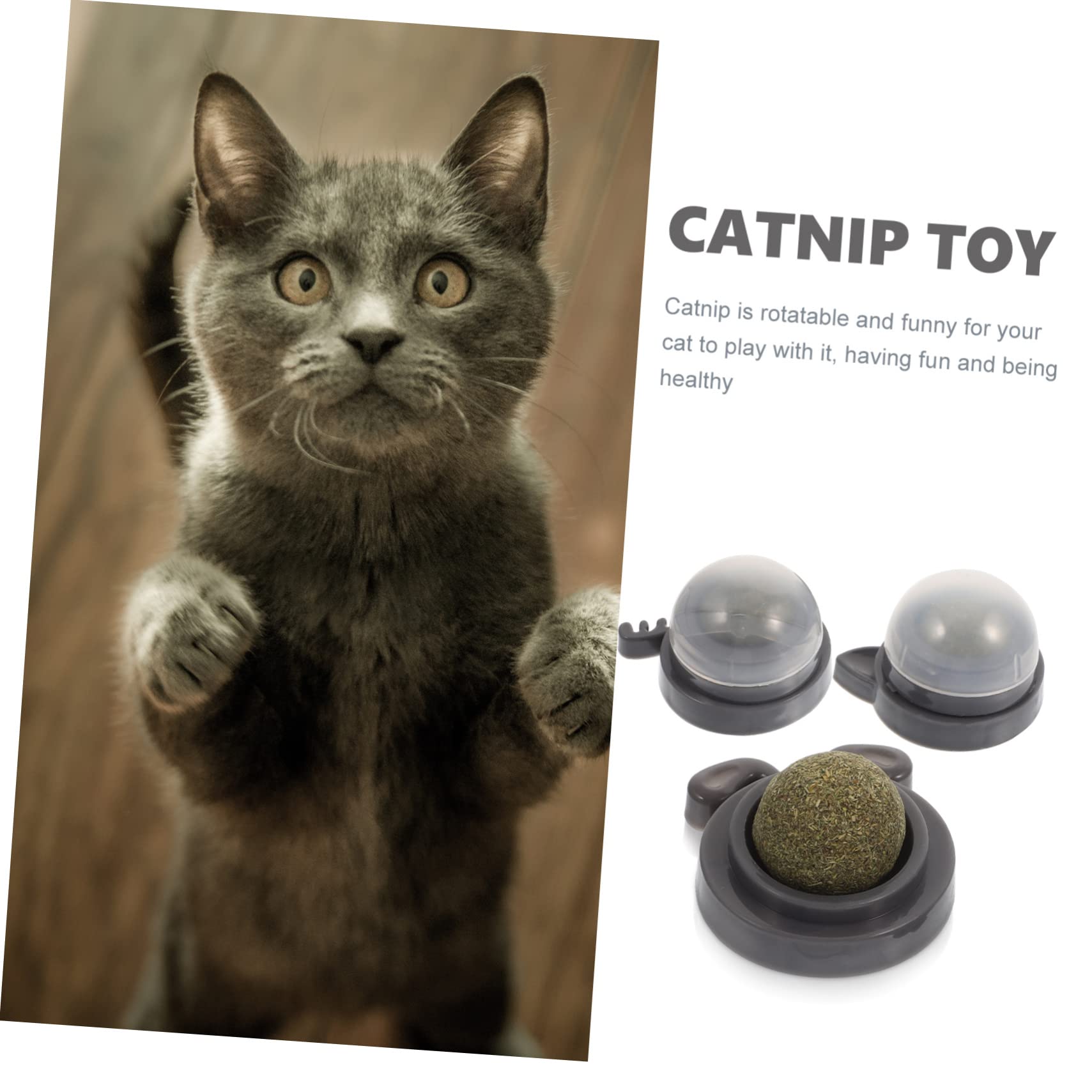 VANZACK 9 Piezas De Juguete De Bola De Gatera Juguetes De Limpieza De De Gato Juguete De Gatera Natural Juguetes Comestibles para Gatos Pelota Comestible para