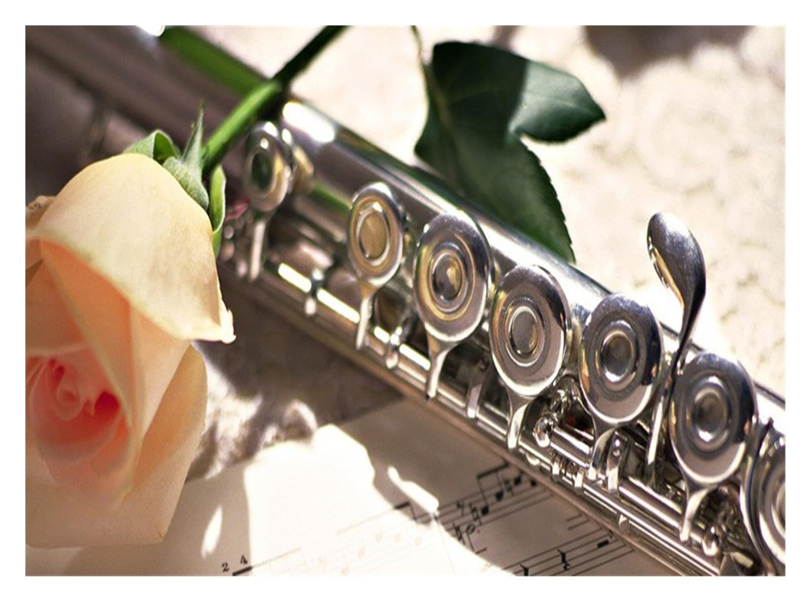 Flauta Instrumento de flauta 16 agujeros llave C instrumento de flauta chapada en plata modelo de orquesta escolar