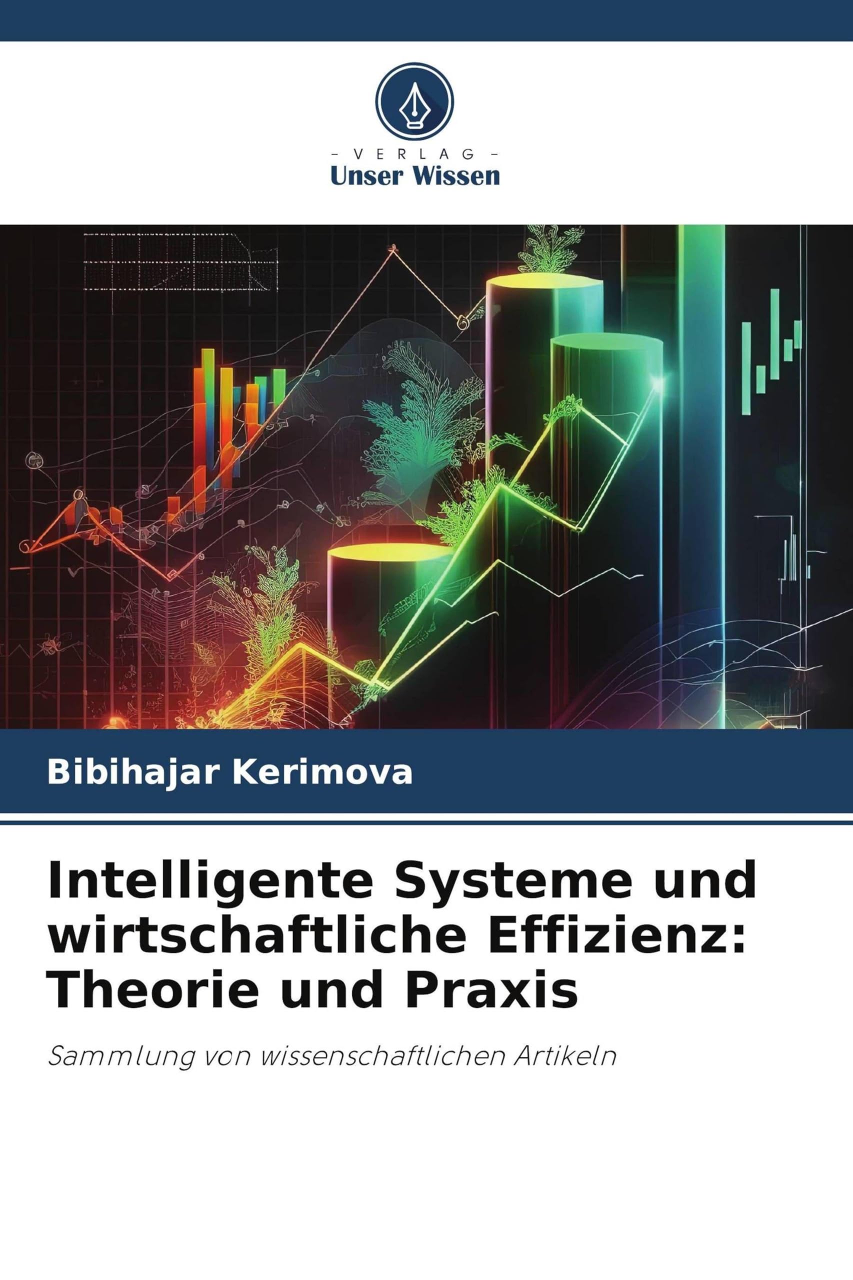 Intelligente Systeme und wirtschaftliche Effizienz: Theorie und Praxis