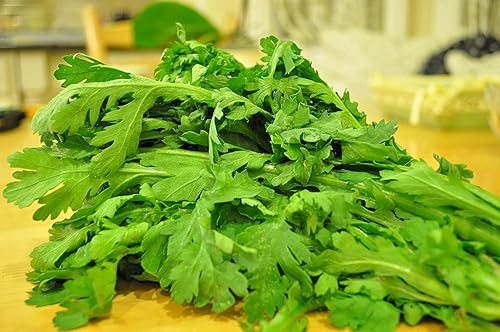 1000 semillas Crown Daisy - Rau Tan O - Guirnalda de verduras de crisantemo Chuleta de crisantemo Suey Green| Sin OMG | Orgánico | Heirloom