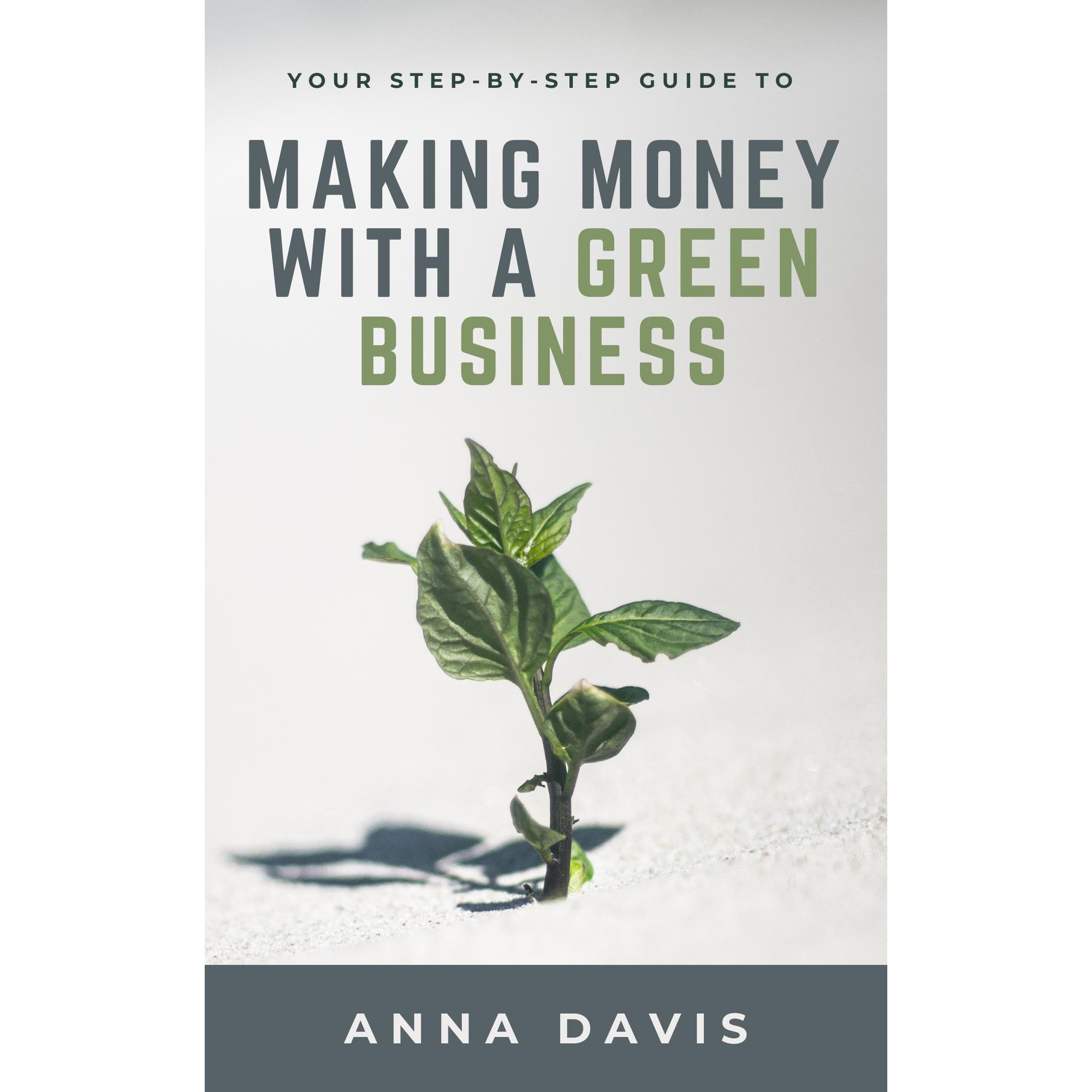 Your Step-by-Step Guide to Making Money With a Green Business