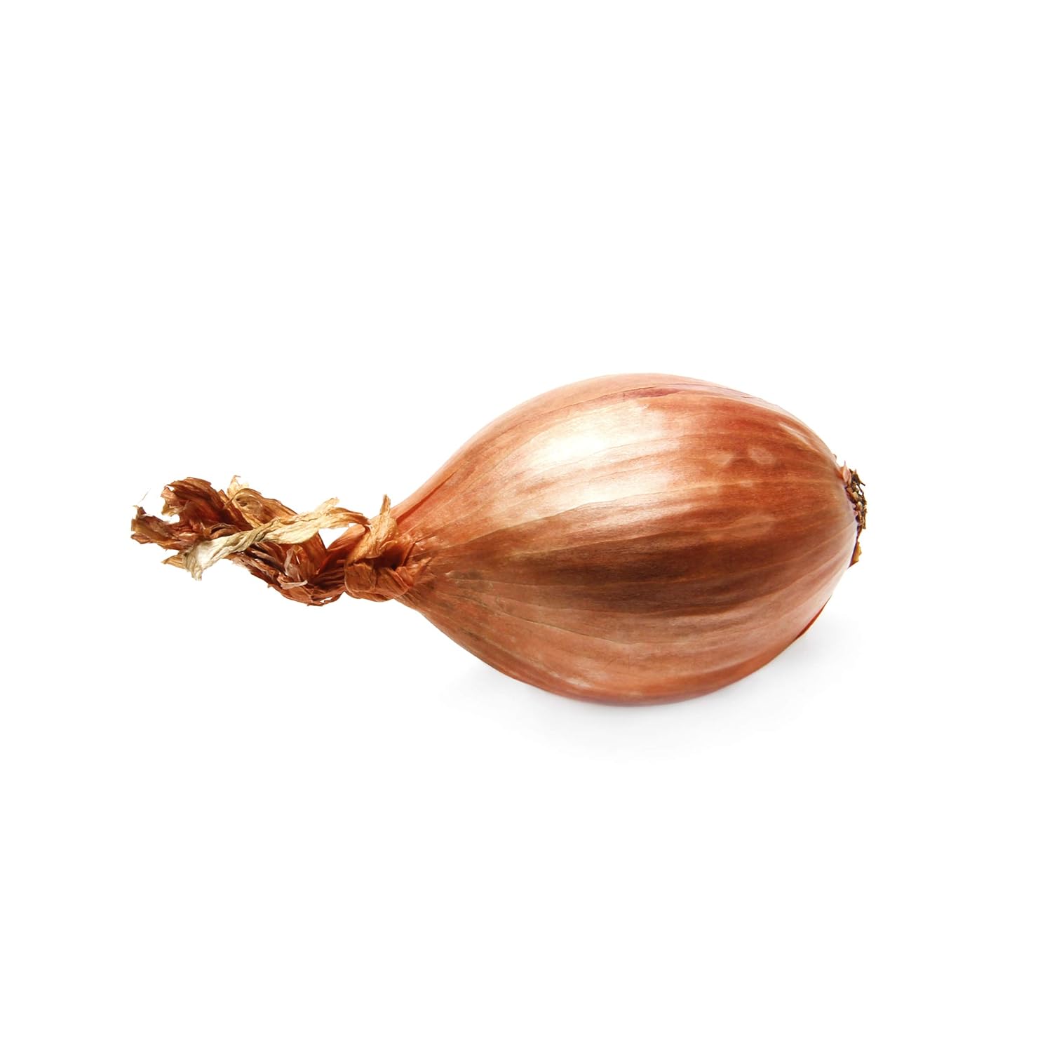 Onion Shallot Organic, 3 Ounce