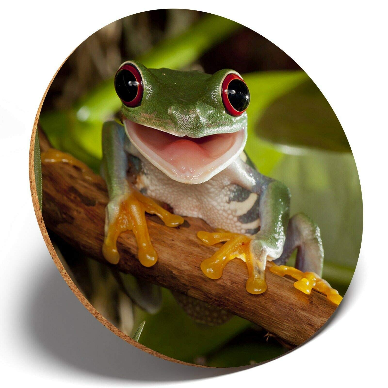 Destination Vinyl Coasters Multicolor 1 X Smiling Green Frog - Round Coaster Kitchen Student Kids #14182