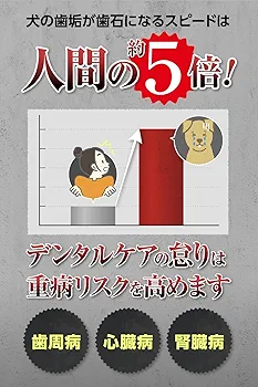 CLEAN WAN デンタルケア用品 3個セット Amazon.co.jp: CLEAN WAN クリーンワン 犬 歯磨き ジェル 歯石