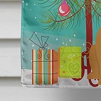 Vista 436 de Caroline's Treasures BB4243GF Bandera de jardín con texto en inglés «Merry Christmas» con texto en inglés «Merry Christmas», bandera decorativa