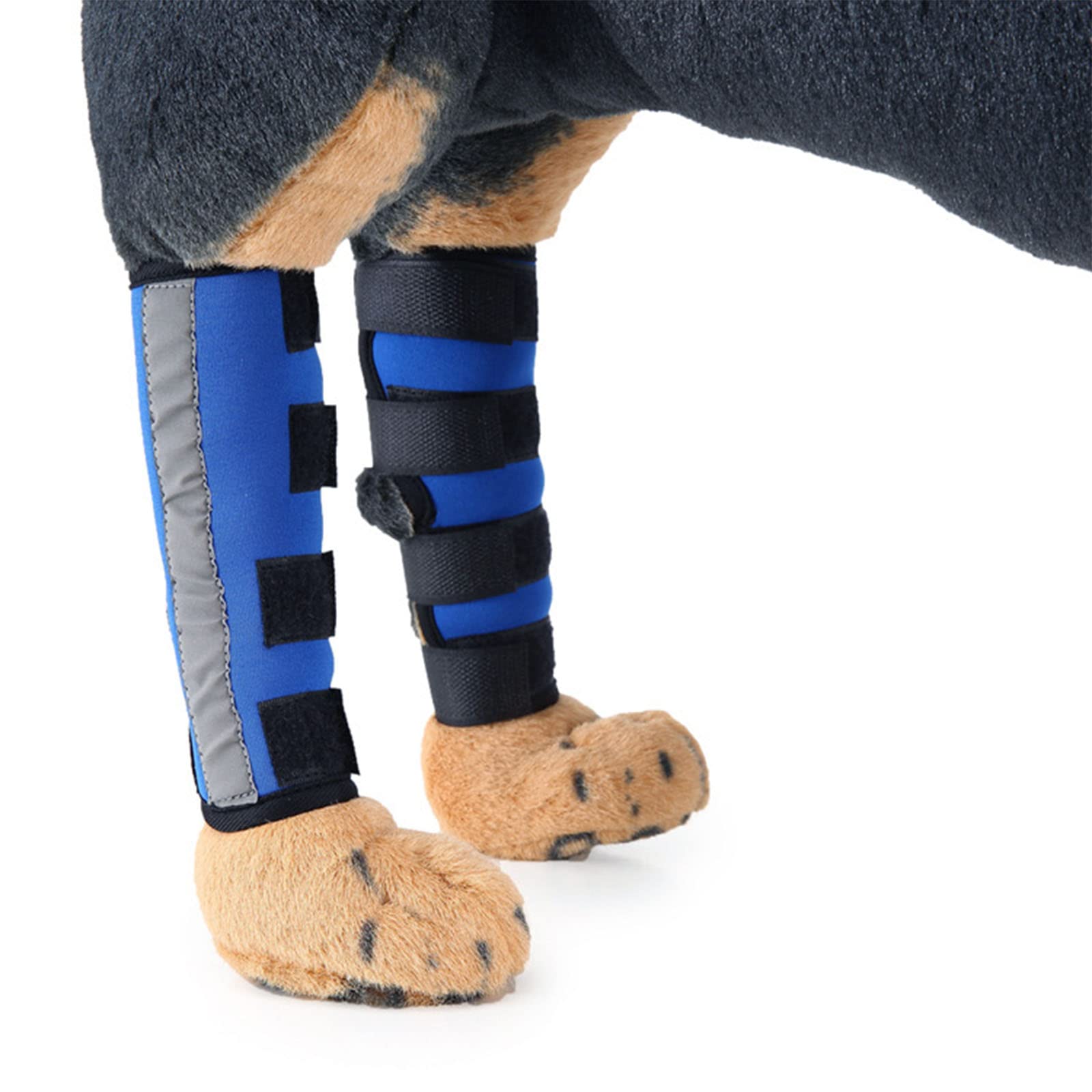 Neoprene Dog Legs Brace Canine Front Hind Leg Support with Safety Reflective Straps Pet Paws Compression Wraps Protective Gear for Joint Injury, Sprain Protection, Wound Healing, Arthritis（1Pair）