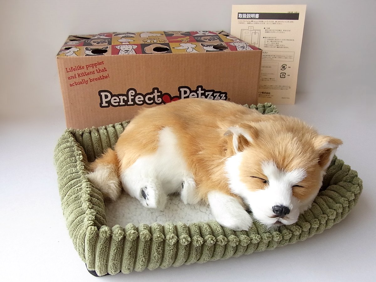 Amazon.co.jp: ニニアンドキノ パーフェクトペット (小サイズ) 柴犬 犬