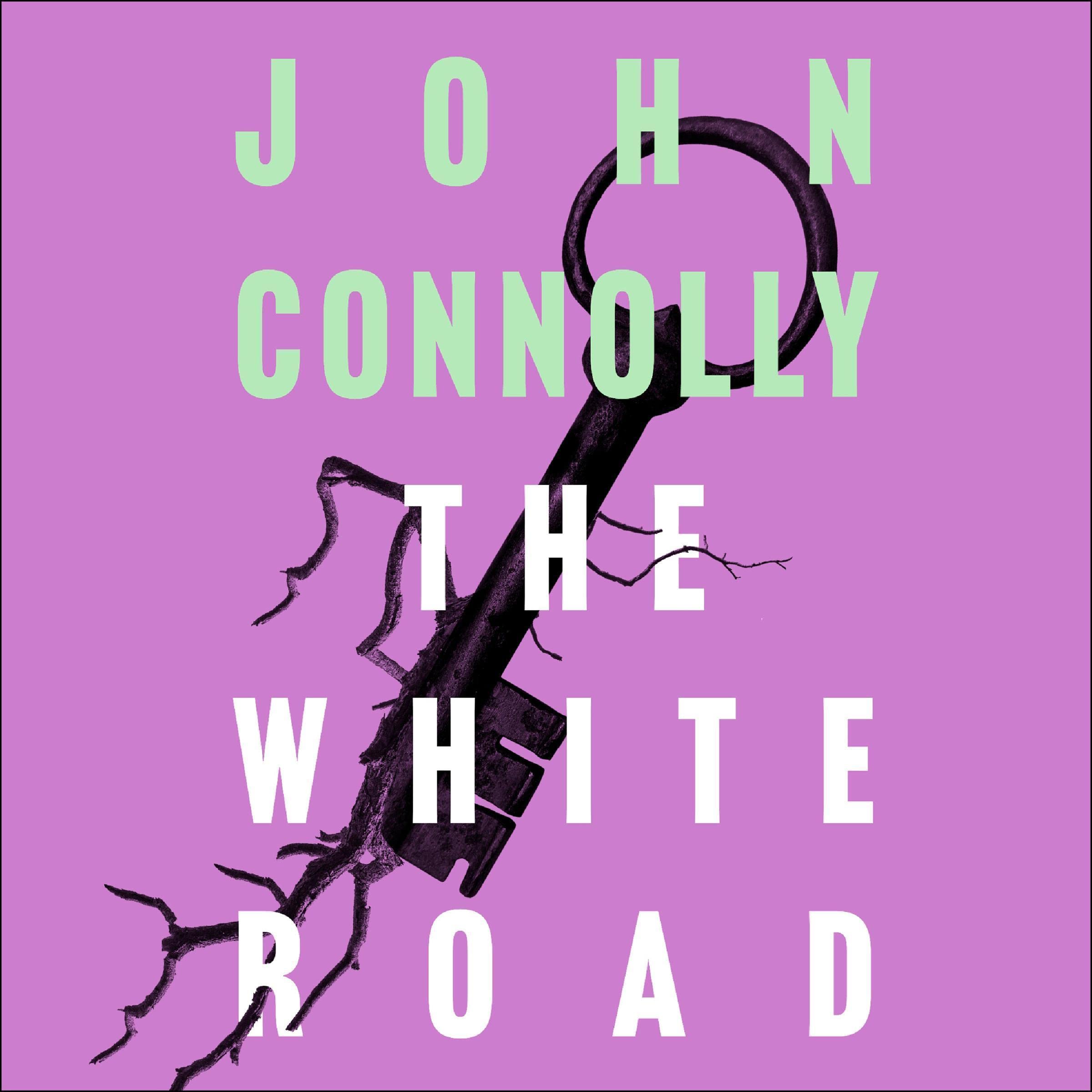 Cover art for The White Road
