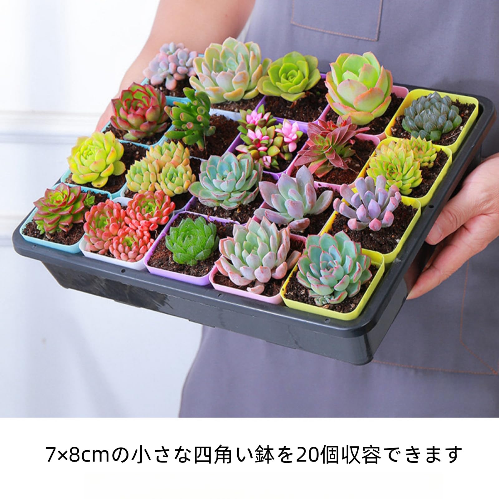 Amazon | PSEKQ 育苗ポット 育苗トレー 育苗コンテナ 育苗トレイ