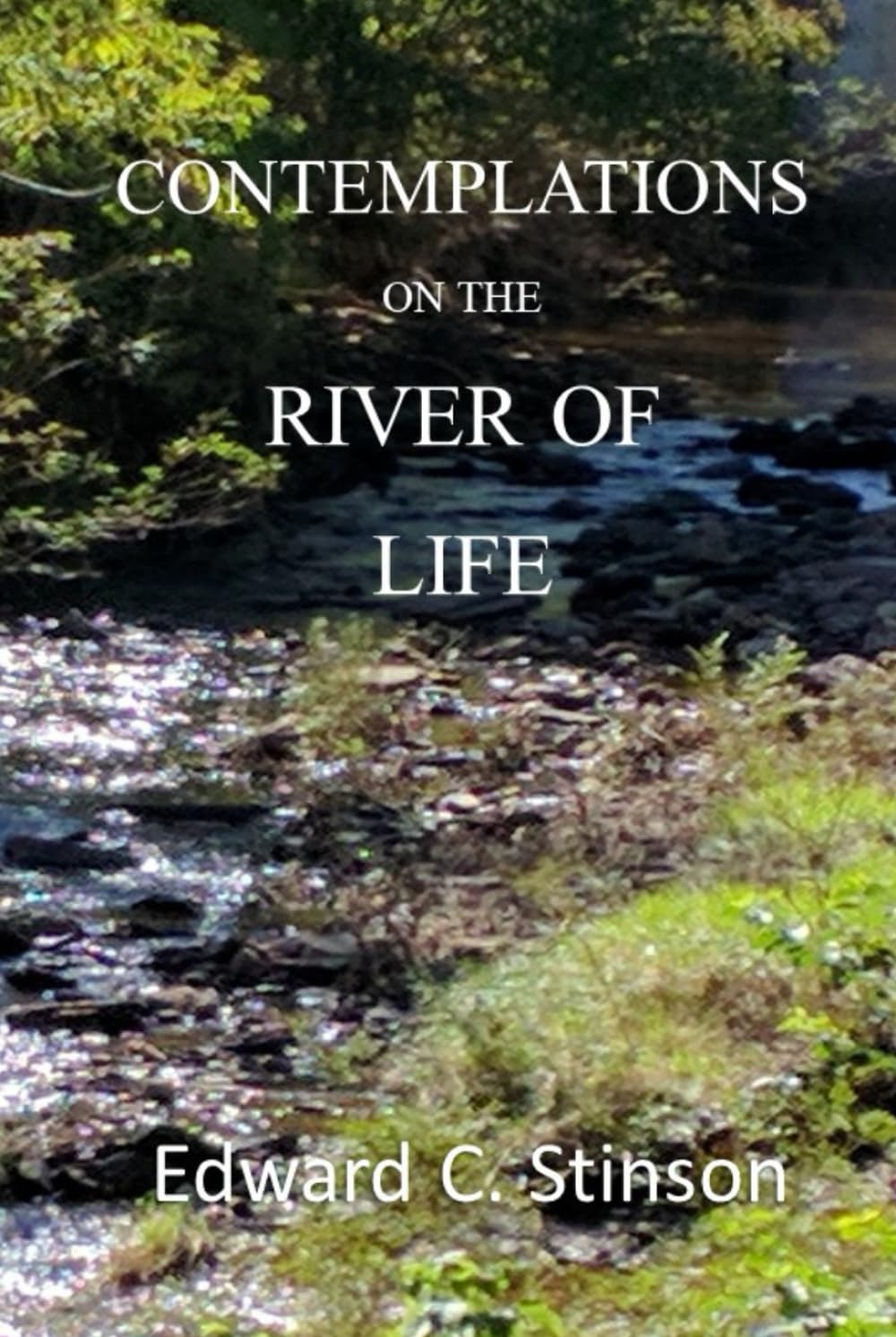 CONTEMPLATIONS ON THE RIVER OF LIFE: LARGE PRINT EDITION