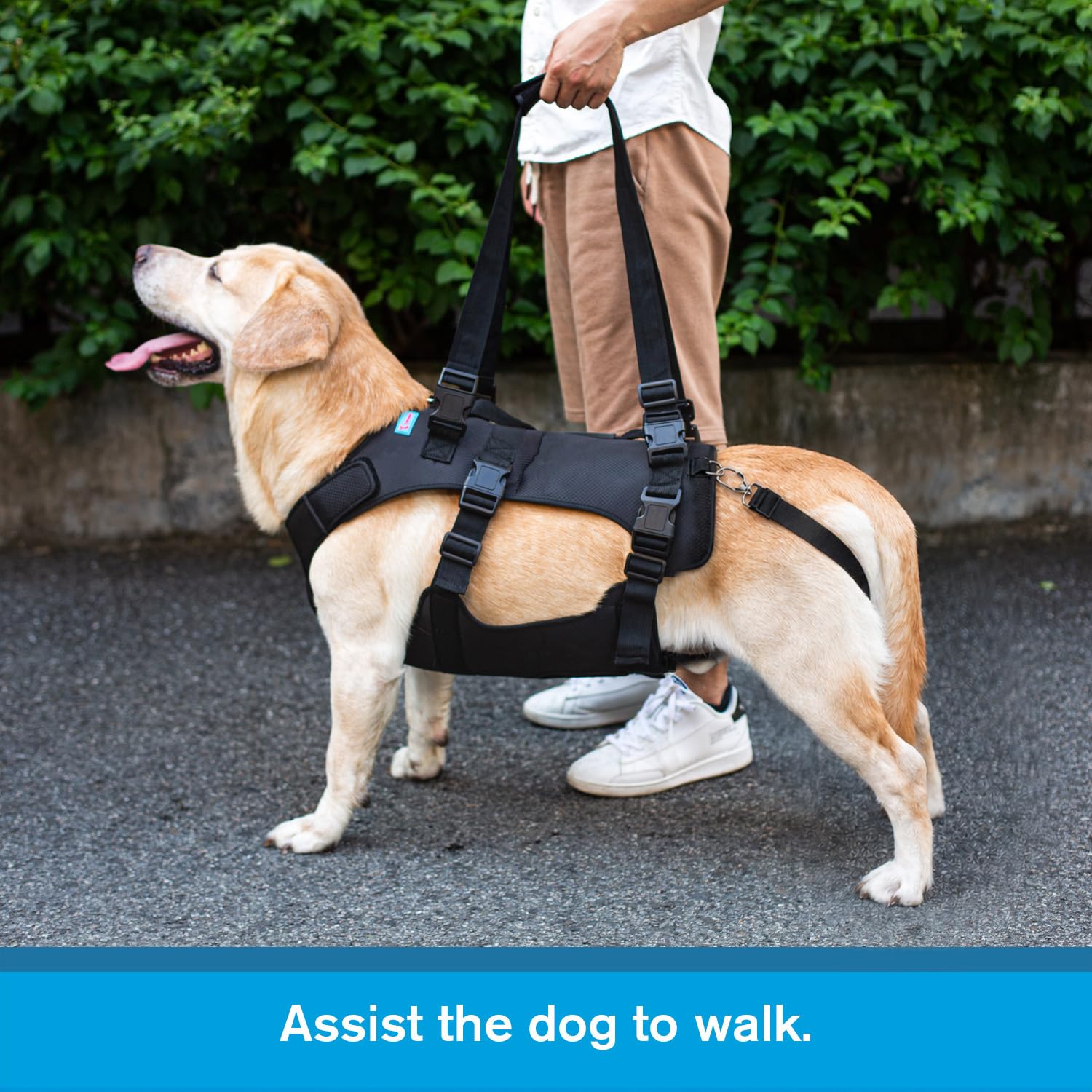 Arnés de elevación para perros (S, negro)