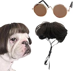 1 x Pet Wig and 1 x Glasses for Pets, Pet Supplies, Pet Accessories, Pet Party Costumes