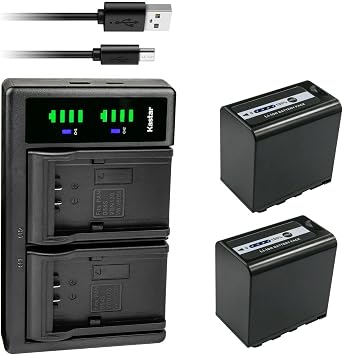 Kastar 2-Pack AG-VBR89G Battery and LTD2 USB Charger Compatible with Panasonic AJ-PX298 AJ-PX298MC AJ-UX90 AJ-UX180 HC-X1 Camera, AG-VBR59 AG-VBR89G AG-VBR118G Battery, AG-BRD50P AG-B23P Charger