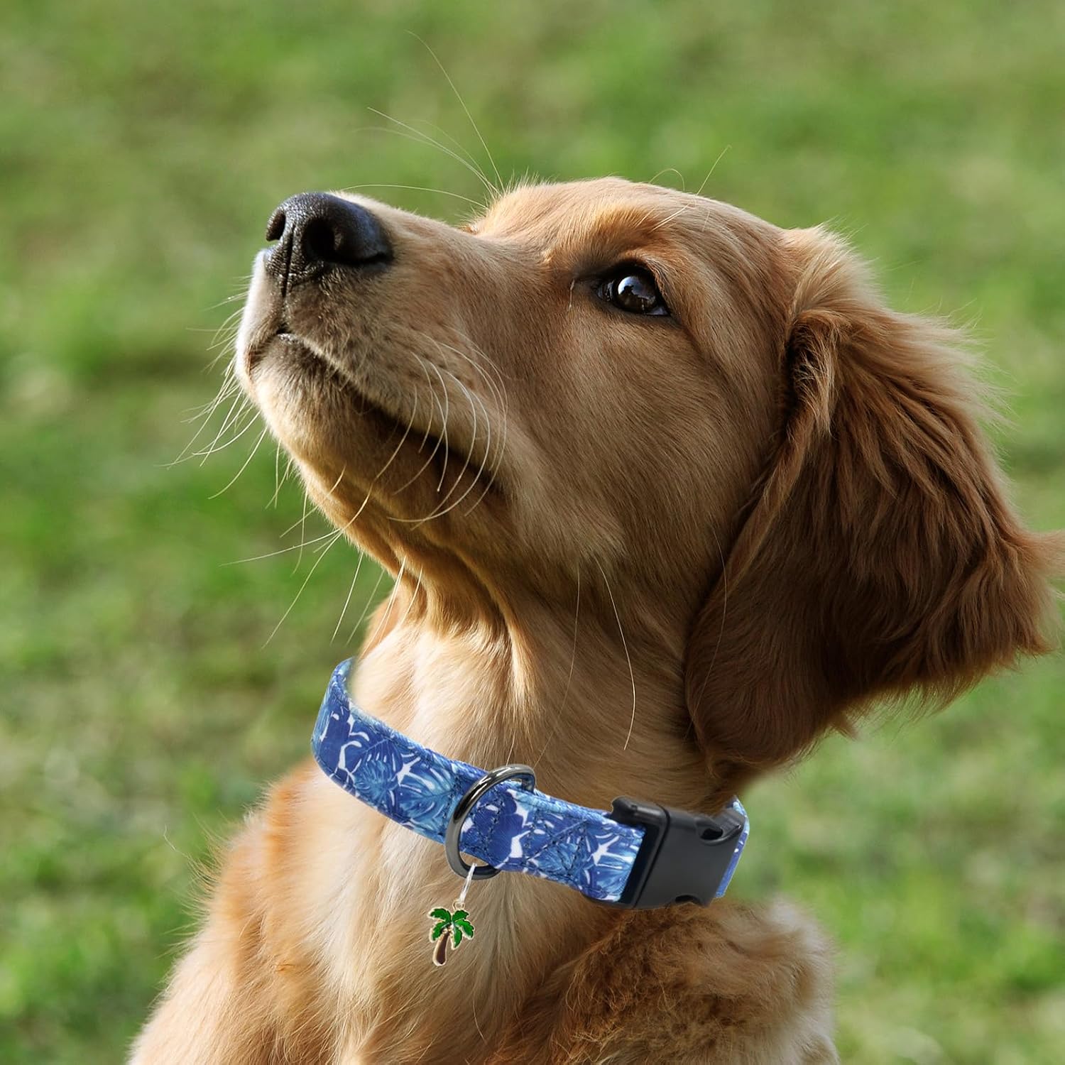 Flower Patterns Dog Collar with Accessories, Soft Cotton Dog Collars for Small Medium Large Female and Male Dogs(Palm Frond M) image 4