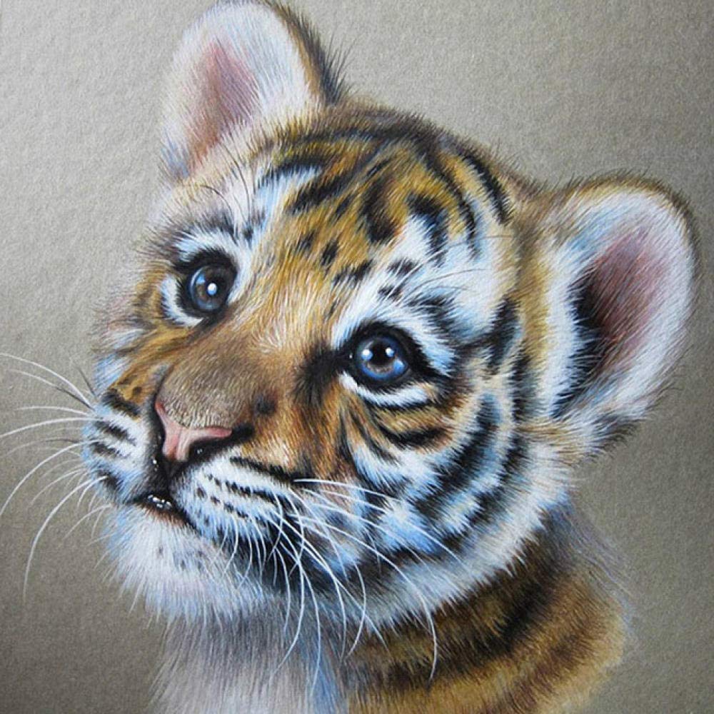 Completo 5D pittura diamante fai da te animale gatto diamante ricamo