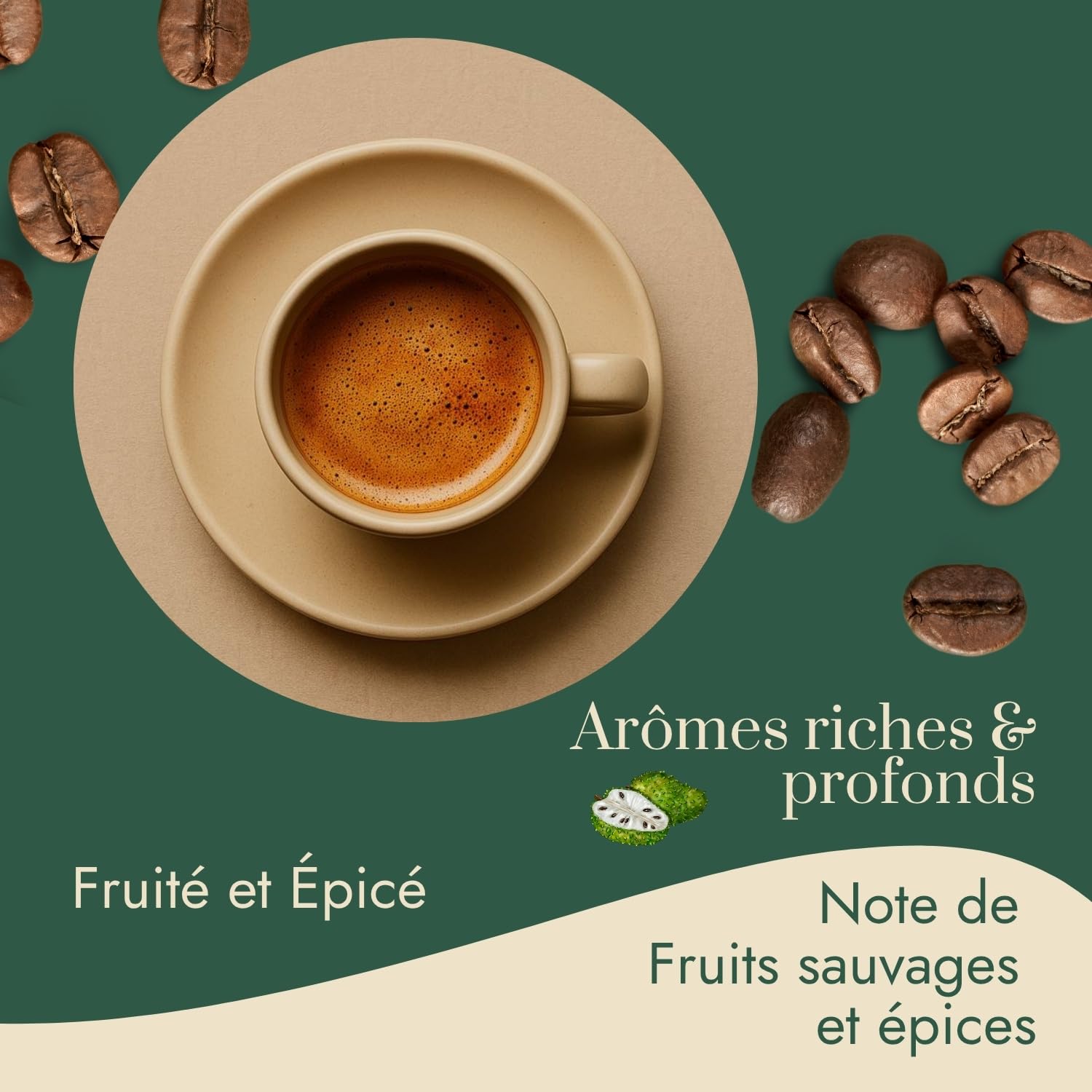 Graindecafé – Café Vert Éthiopie Moka Harrar 1kg | 100% Arabica Naturel Non Torréfié | Sauvage Et Épicé | Notes De Fruits Secs Et Moka | Idéal Machine À Grain Une Fois Torréfié