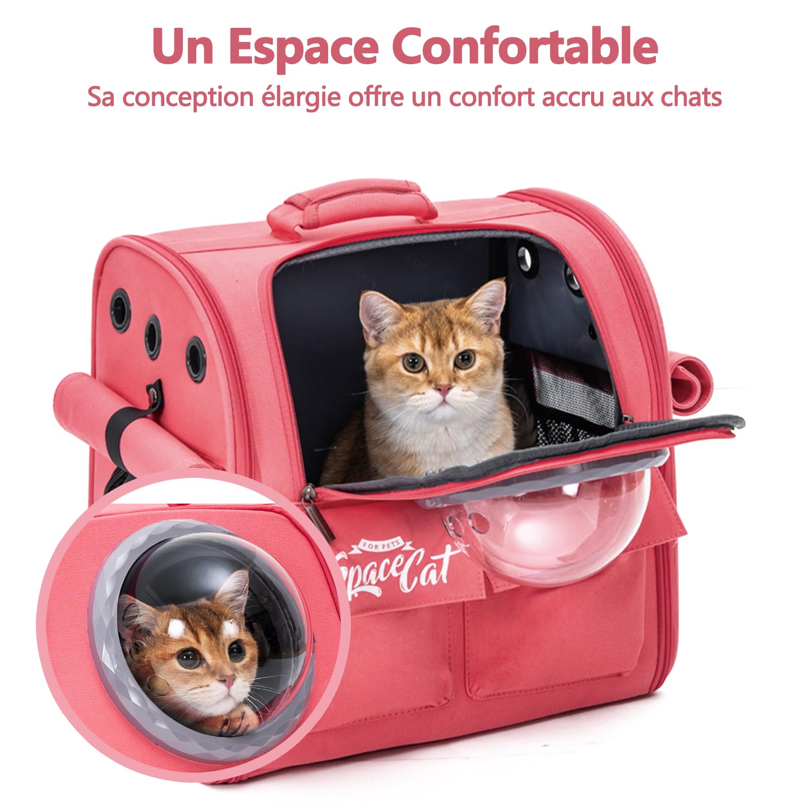 Galatée Sac à Dos De Transport pour Chien, Sac à Dos pour Animaux De Compagnie Approuvé par Les Compagnies Aériennes, Sacoche pour Voyages, Randonnées, Camping Et Activités De Plein Air(Rose)
