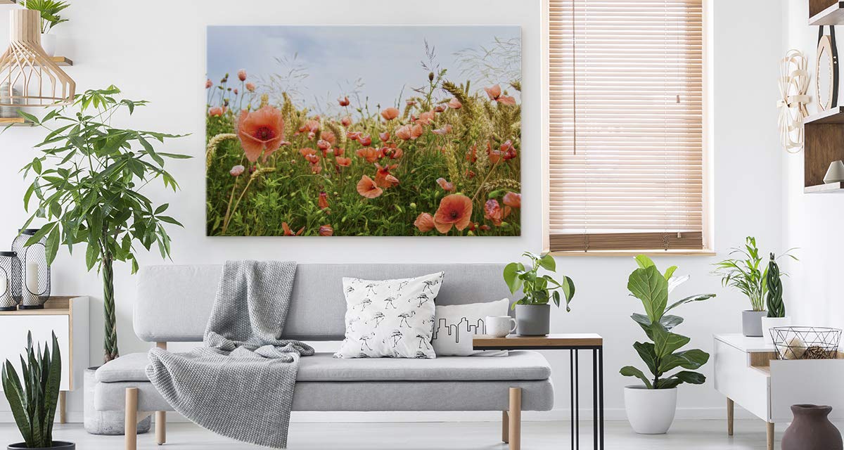 Muralo Wandbild Blumen, Mohnblumen, Wiese, Natur, Landschaft - 90x60 cm | Leinwandbild, Modernes Design, hochauflösender Druck - ideal für Schlafzimmer und Wohnzimmer, Frühlingsflair das ganze Jahr
