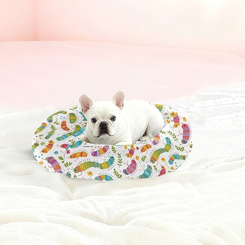 Miniatura 2 de KLL Colorful Caterpillars and Leaves Anti-Slip Pet Cat Beds fluffier Dog & Cat Cushion for Extra Small Size Pets Sleeping Camas para mascotas Grandes