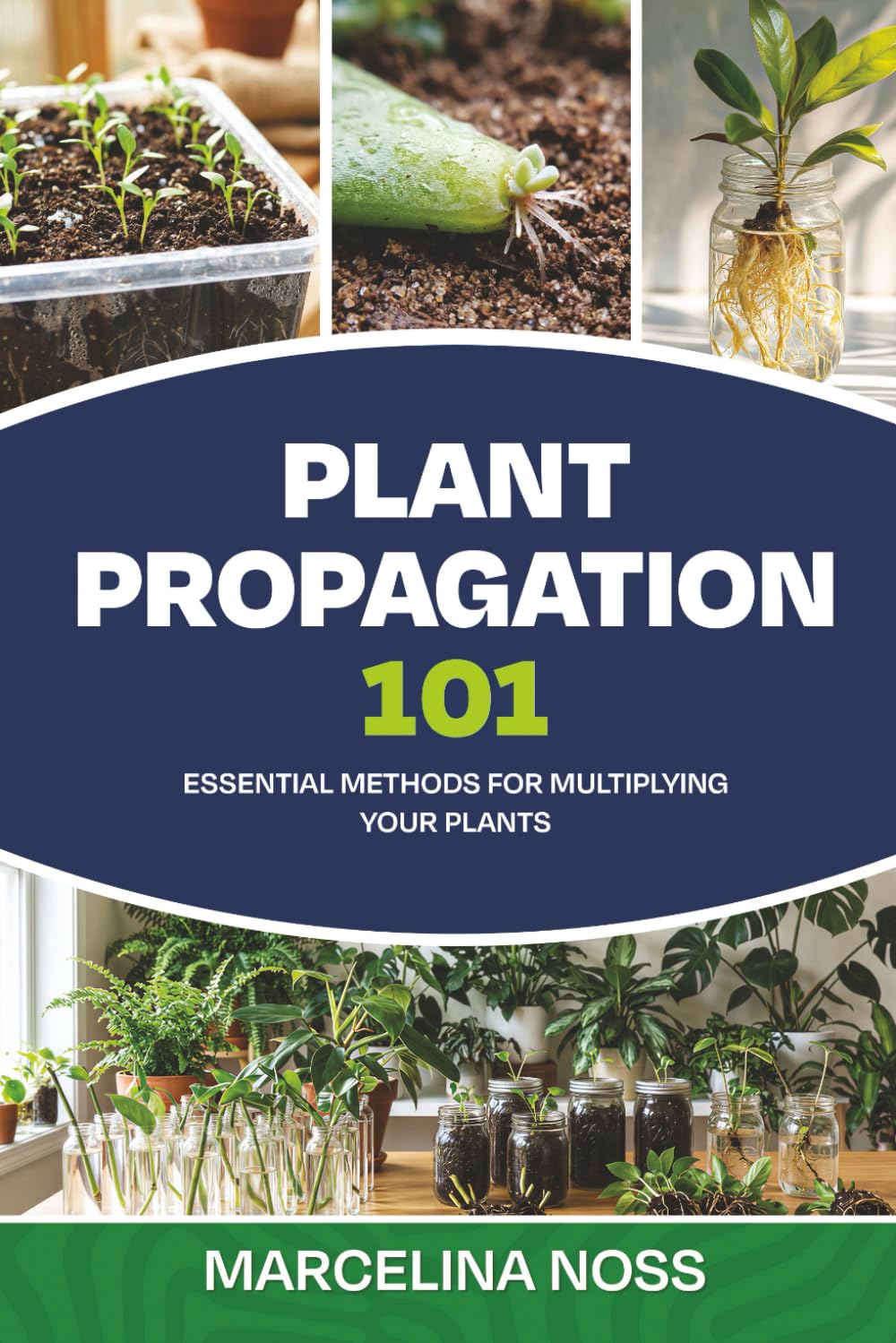 PLANT PROPAGATION 101: The Ultimate Guide to Propagating Houseplants, Herbs, and Vegetables from Cuttings, Division, and Seeds      Paperback – November 22, 2025