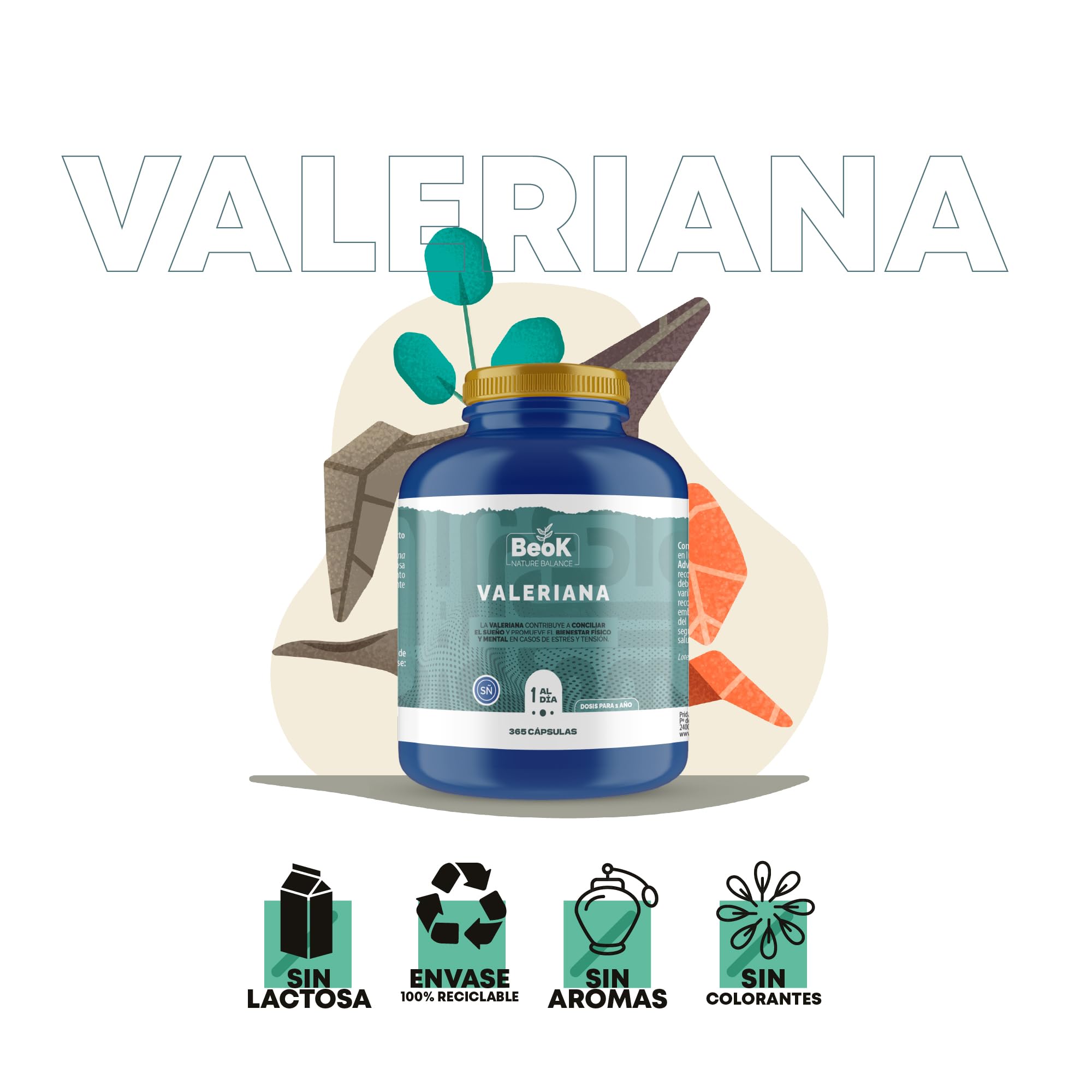 BEOK Valeriana 365 Cápsulas – 200 mg por Dósis Diaria – Suplemento para Conciliar el Sueño y Aliviar el Estrés – Relajación, Descanso, Bienestar Físico y Mental – Suministro para 1 Año