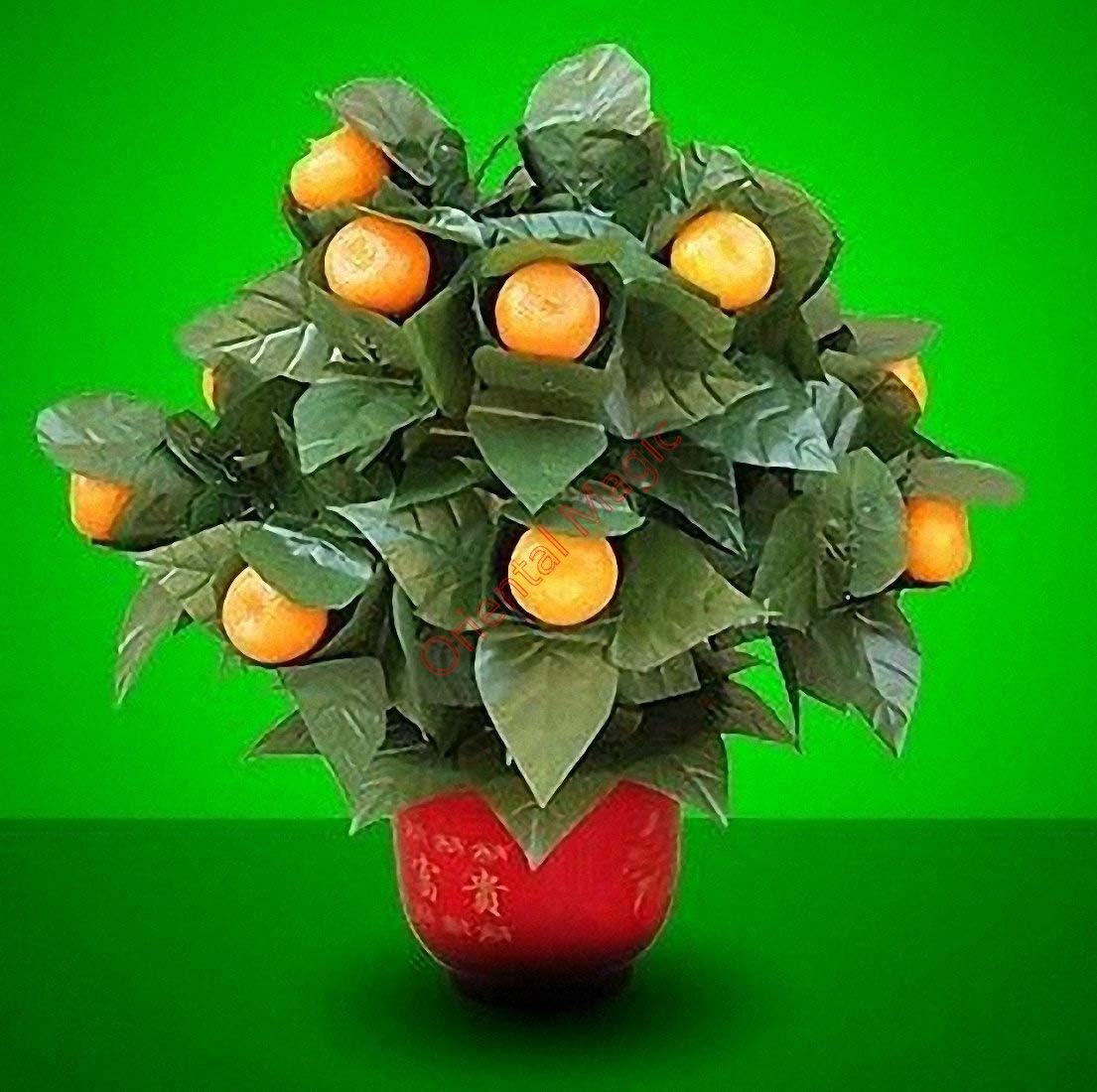Blooming Oranges - Remote Control Magic Tricks , Party Tricks, Amazing Tricks , Magic Kit,Stage Magic (15 Oranges)