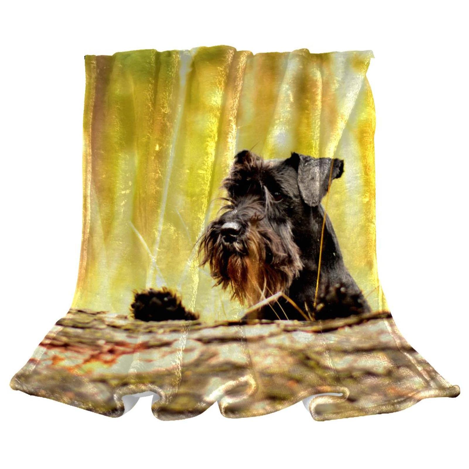 Couverture en peluche couvertures chaudes et douces microfibre plaid Schnauzer