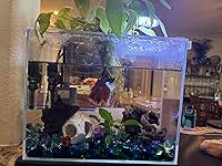 Review Image by Beverleypa Beverleypa