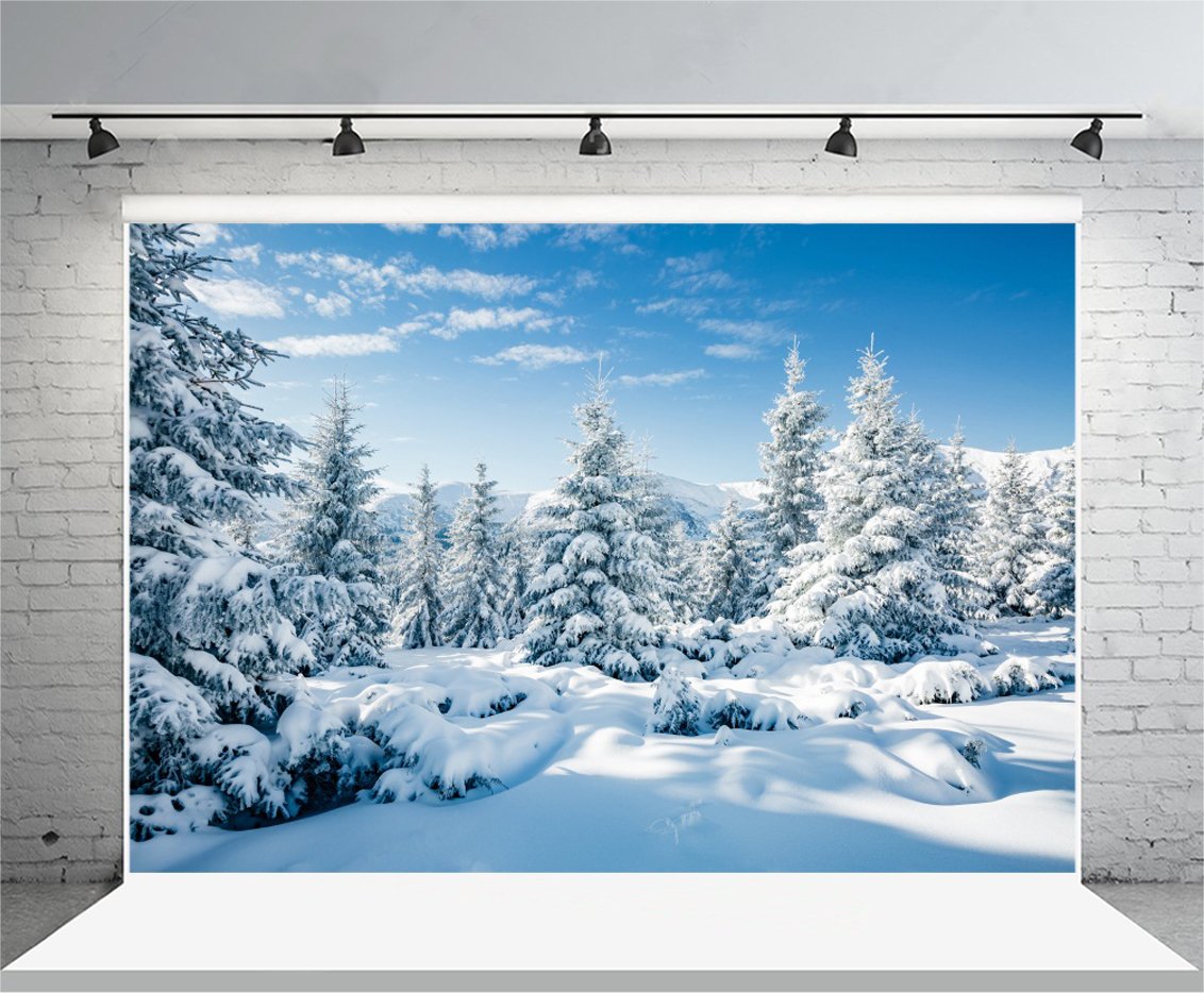 3x2,5m Invierno Escena de Nieve Telones de Fondo Copo de Nieve Paisaje Árboles Fotografía Fondo Blanco Nieve Bosque Decoración de Navidad Decoración de la Fiesta de Navidad