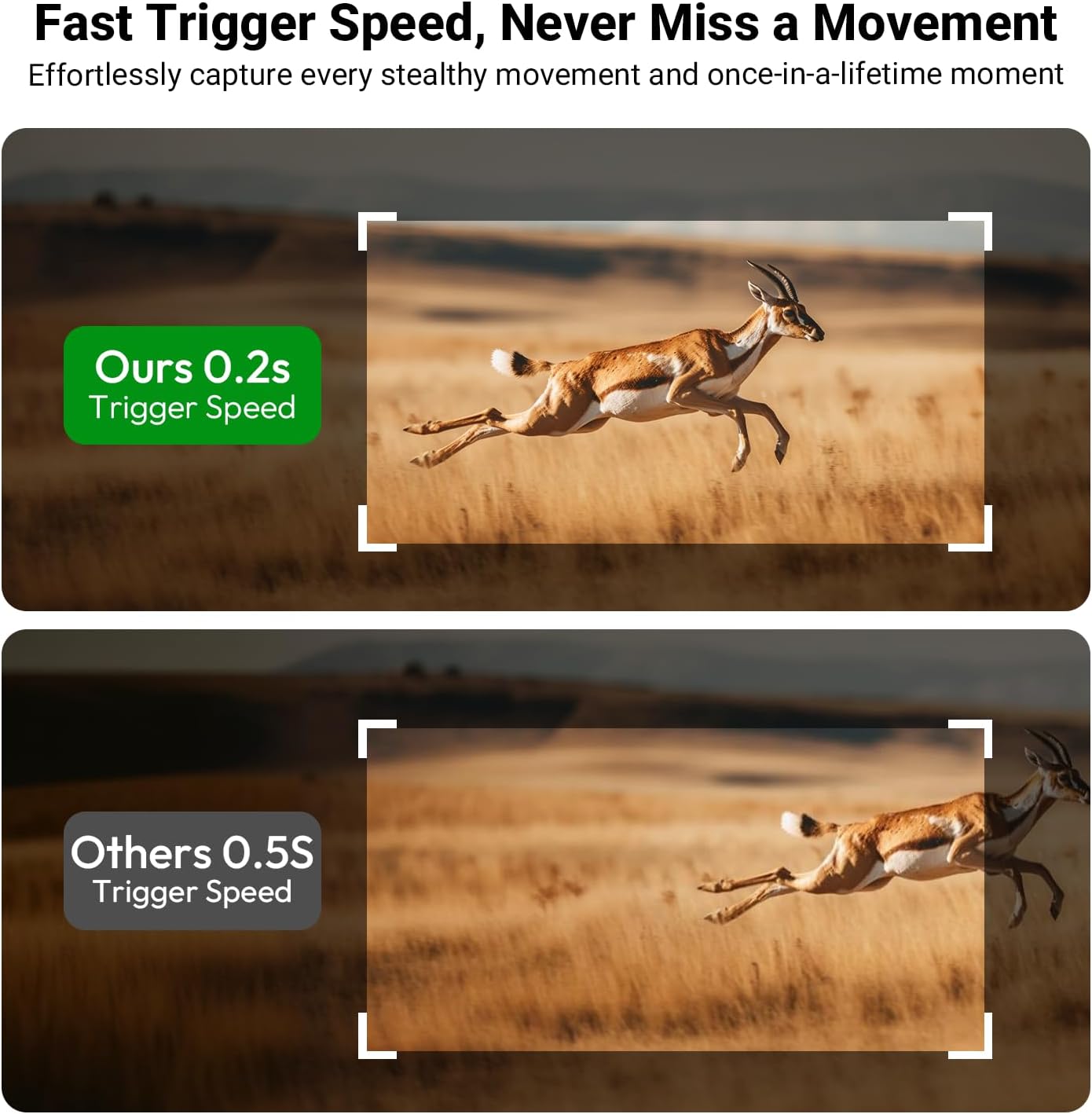 Comparison of 0.2s trigger speed of ELECCTV DL06 vs 0.5s of other cameras