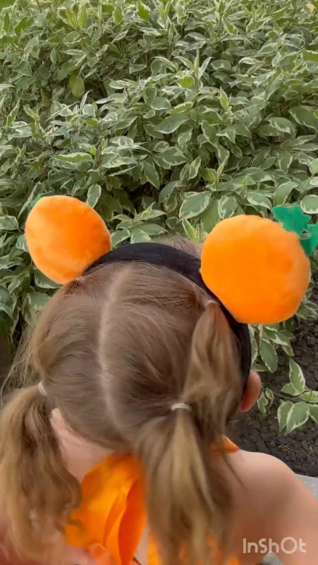 KEEBAX Halloween Costume De Citrouille Enfants: DéGuisement Robe Tulle Imprimé Citrouille Manches Longues Fillette Pour Petit Fille Avec Bandeau Et Sac (M (2-3 years