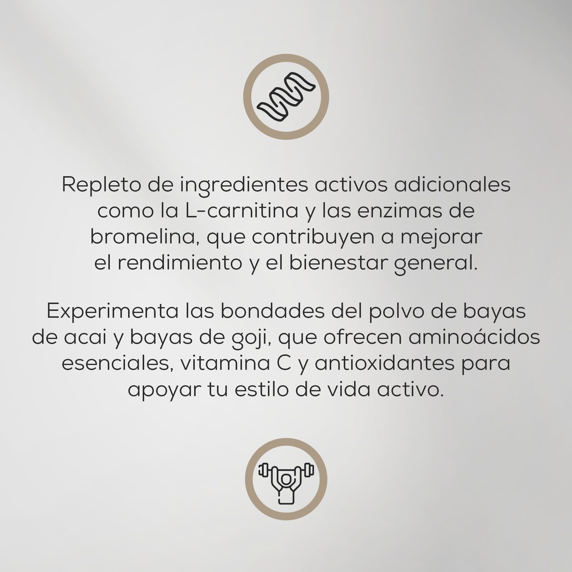 BioTechUSA Diet Shake | Bebida en polvo de proteína de suero rica en fibra