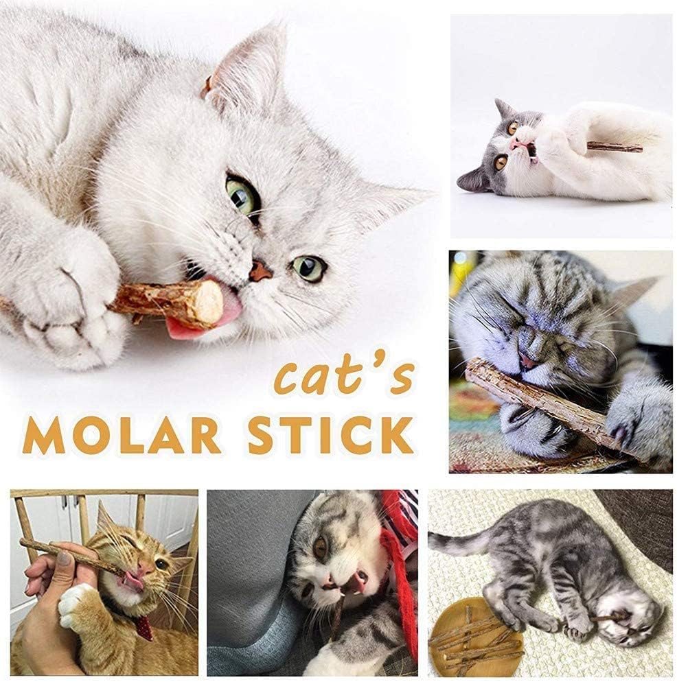 30Pcs Cat Catnip Sticks, Cat Chew Sticks, Cat Catnip toys, Natural Matatabi Silvervine Chew Sticks, Teeth Grinding Chew toys for Cat, Dental Catnip Toys for Cat Kitten