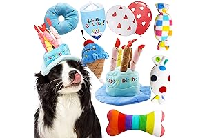 The Ultimate Dog Birthday Gift Basket: Pamper Your Furry Friend with Fun and Cheer